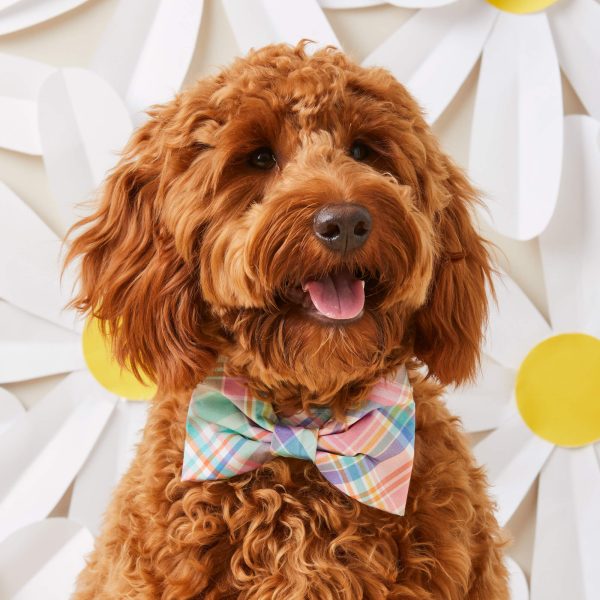 Blooming Plaid Bow Tie Collar - Image 4