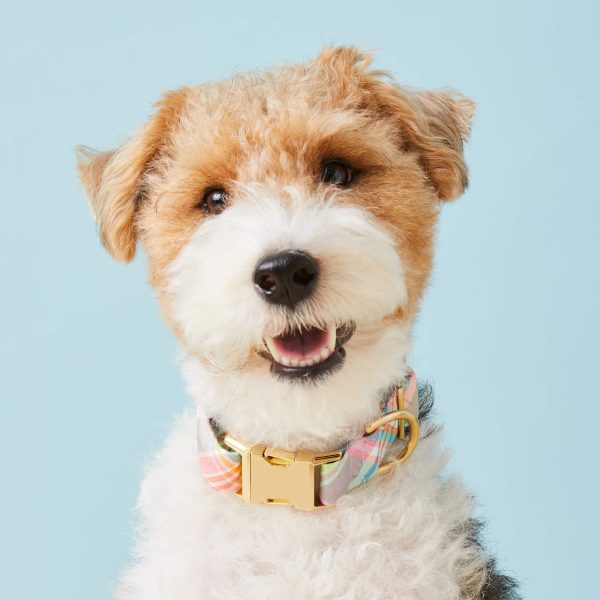 Blooming Plaid Dog Collar - Image 5