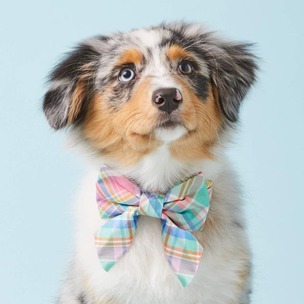 Blooming Plaid Lady Bow Collar - Image 4
