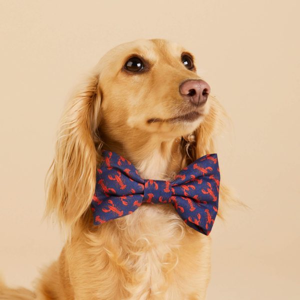 Catch of the Day Bow Tie Collar - Image 5