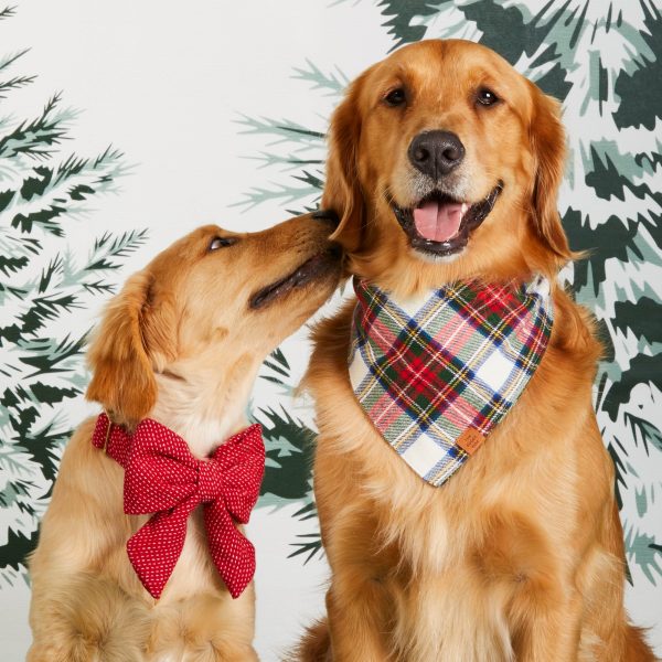 Berry Stitch Flannel Lady Bow Collar - Image 5