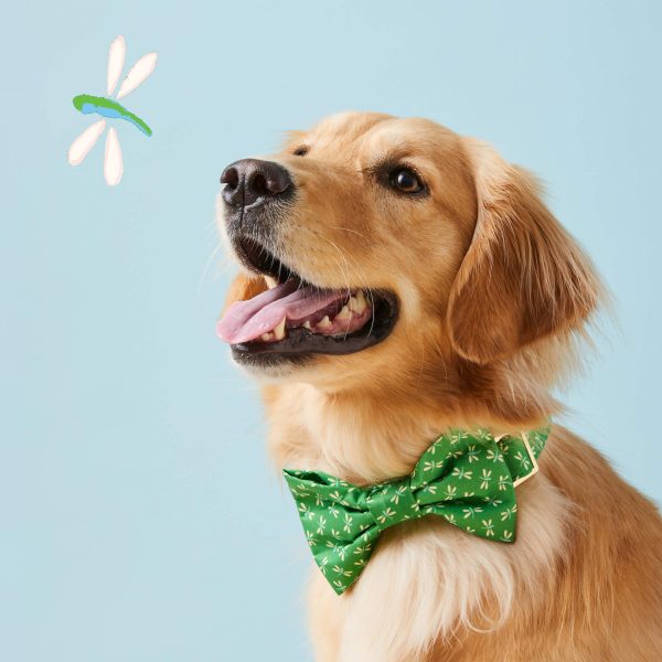 Dragonflies Bow Tie Collar - Image 4