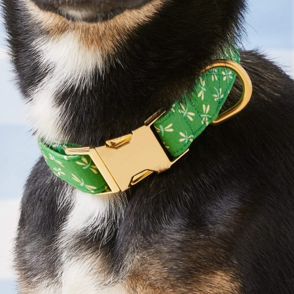 Dragonflies Dog Collar - Image 4