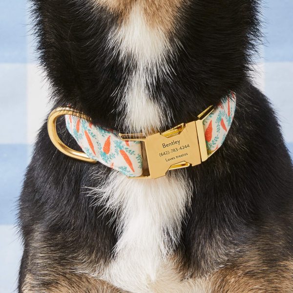 Carrot Patch Dog Collar - Image 4