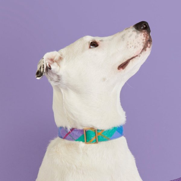 Fable Plaid Flannel Dog Collar - Image 4