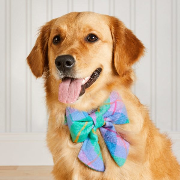 Fable Plaid Flannel Lady Bow Collar - Image 4