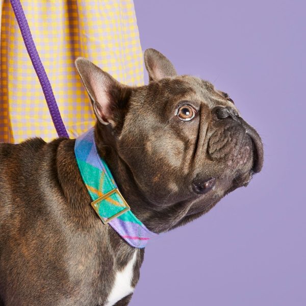 Fable Plaid Flannel Dog Collar - Image 5