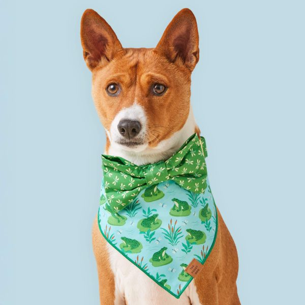 Dragonflies Bow Tie Collar - Image 6