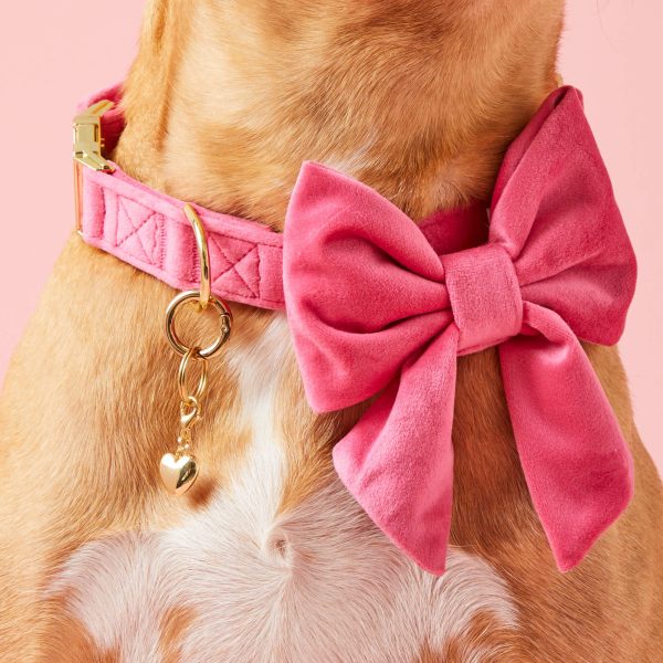 Hot Pink Velvet Lady Bow Collar - Image 5