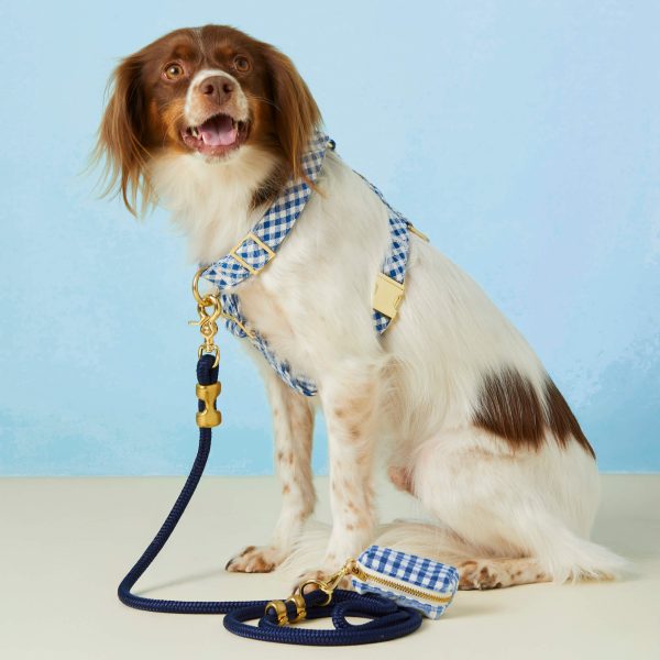 Lake Blue Gingham Dog Harness - Image 4