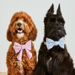 Chambray Dots Bow Tie Collar - Image 4