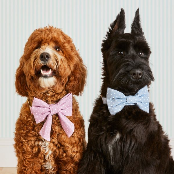 Chambray Dots Bow Tie Collar - Image 4