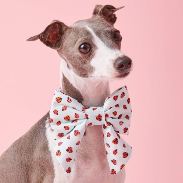 Love Bug Lady Bow Collar - Image 4