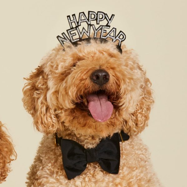 Black Velvet Bow Tie Collar - Image 4