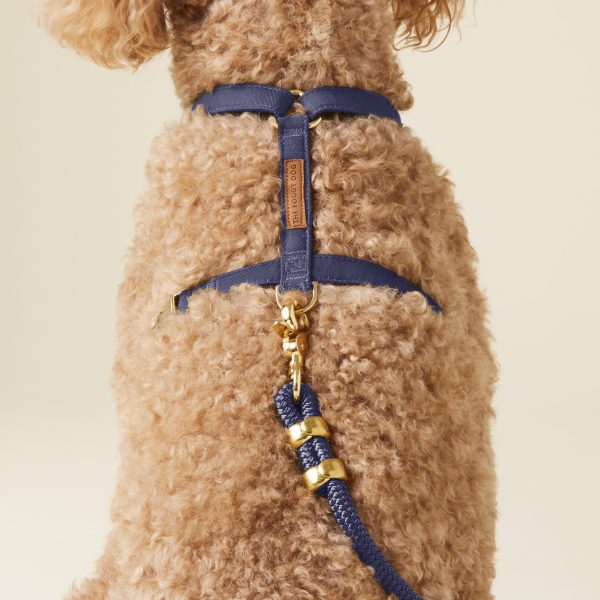 Ocean Dog Harness - Image 7