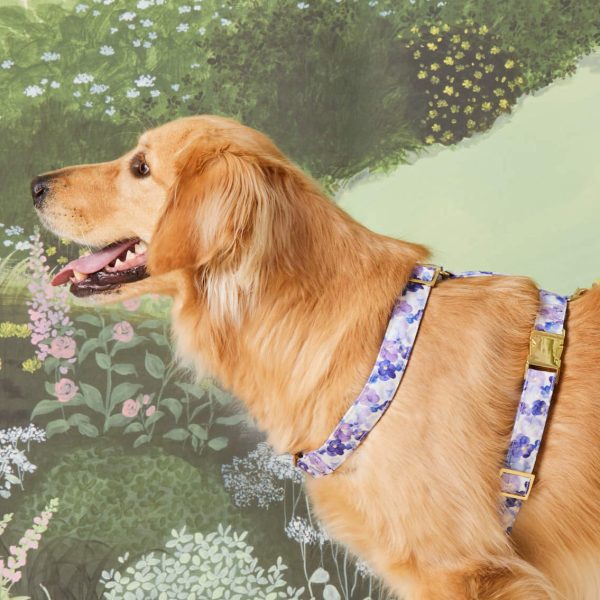 Pressed Pansies Dog Harness - Image 4