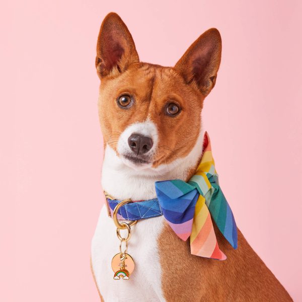 Over the Rainbow Lady Bow Collar - Image 4