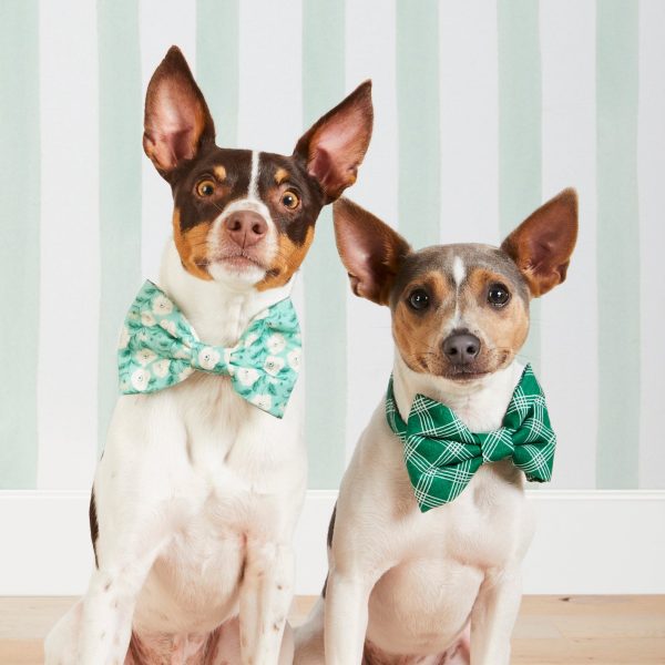 Emerald Plaid Bow Tie Collar - Image 4