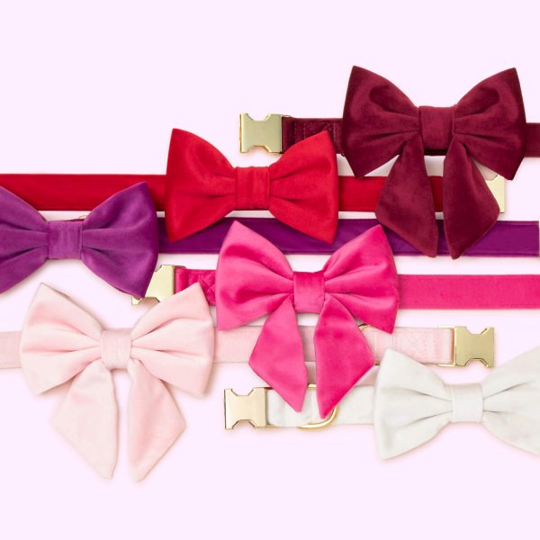 Blush Pink Velvet Lady Bow Collar - Image 5