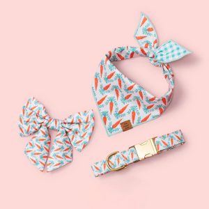 Carrot Patch Dog Collar - Image 5