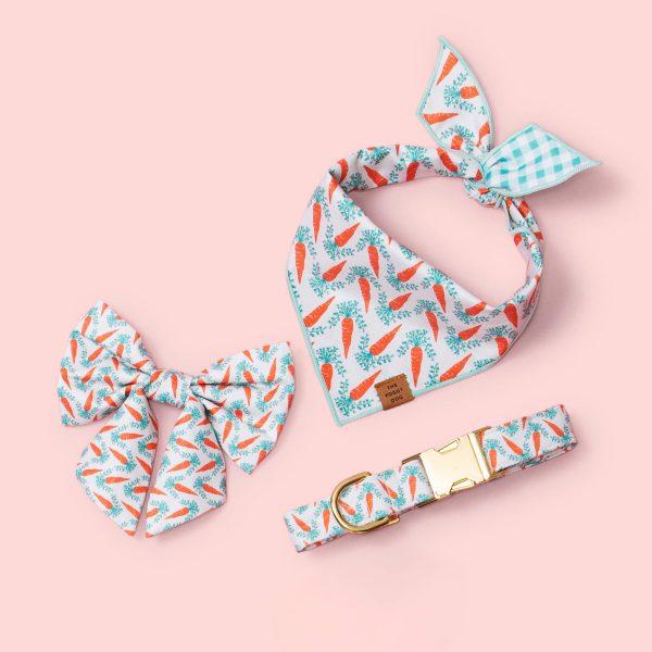 Carrot Patch Dog Collar - Image 5