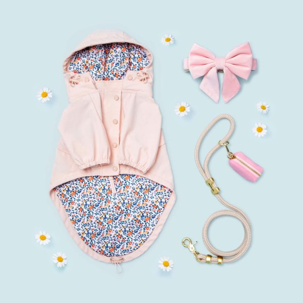 Blush Pink Velvet Lady Bow Collar - Image 7