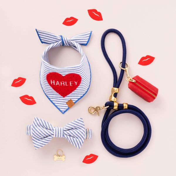 Lake Blue Stripe Bow Tie Collar - Image 6
