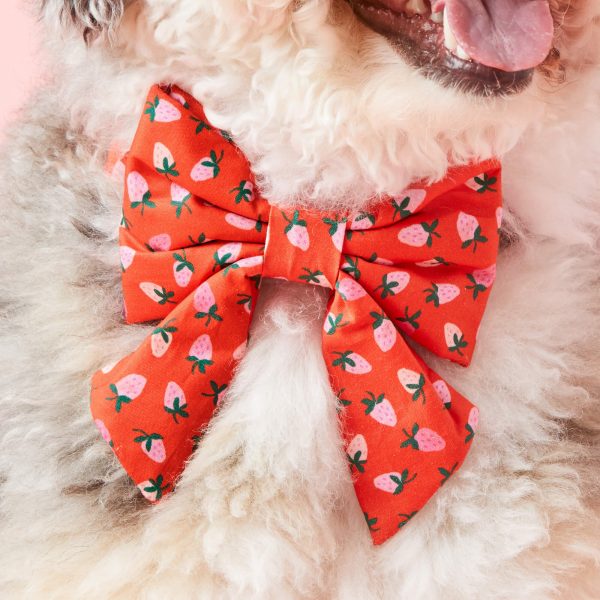 Berry Sweet Lady Bow Collar - Image 5