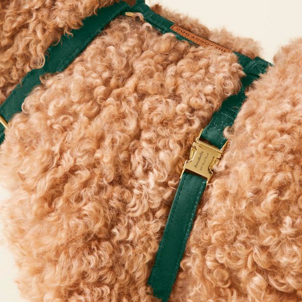 Evergreen Dog Harness - Image 7