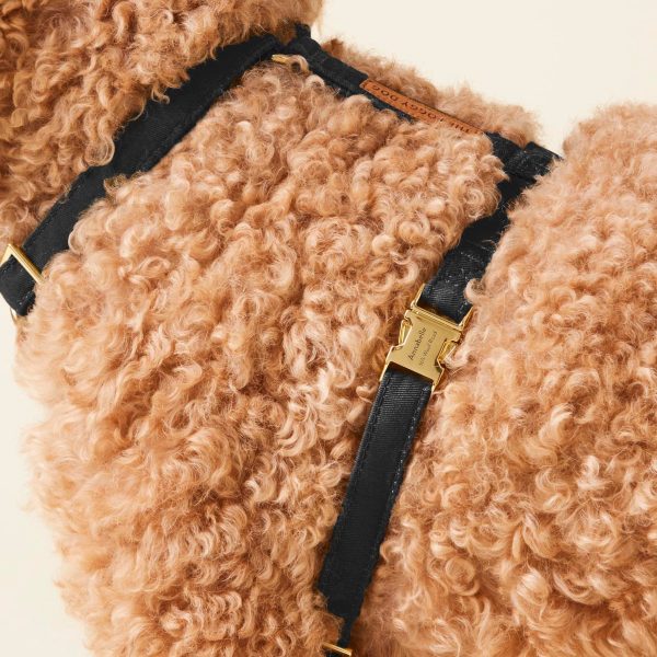 Onyx Dog Harness - Image 6