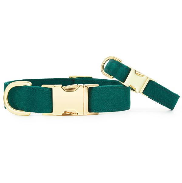 Evergreen Dog Collar - Image 4