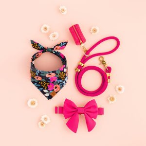 Hot Pink Dog Collar - Image 13