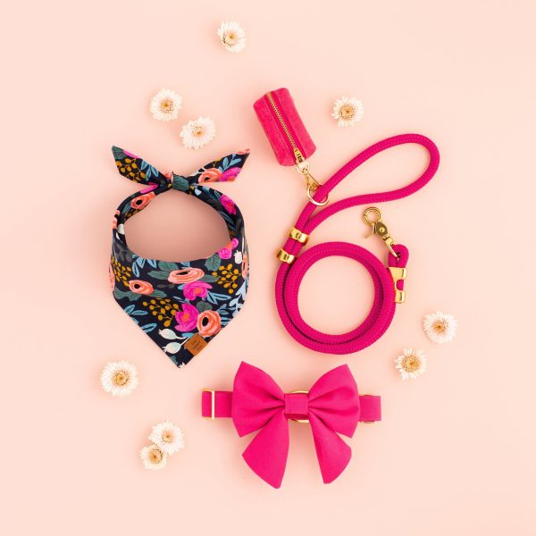 Hot Pink Dog Collar - Image 13