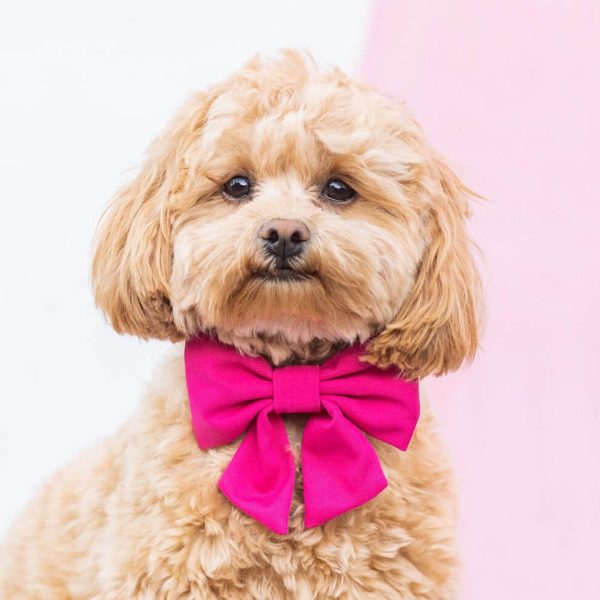 Hot Pink Lady Bow Collar - Image 4