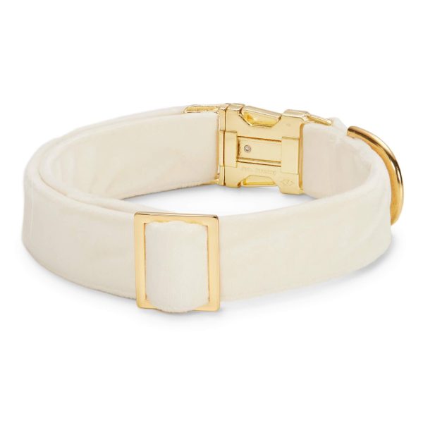 Ivory Velvet Dog Collar - Image 2