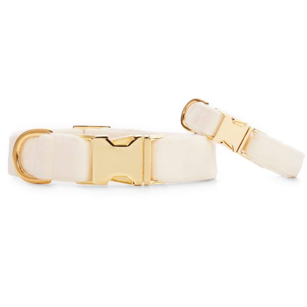 Ivory Velvet Dog Collar - Image 3