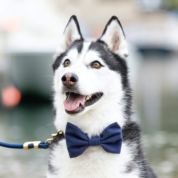 Ocean Bow Tie Collar - Image 6