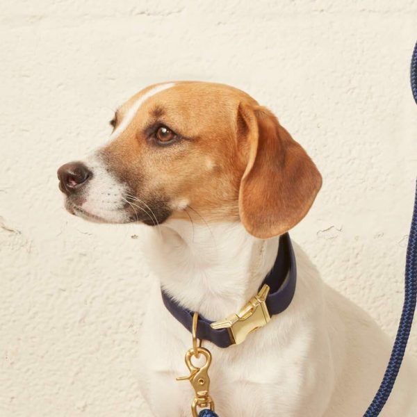 Ocean Dog Collar - Image 10