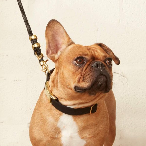 Onyx Dog Collar - Image 6