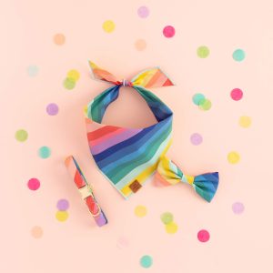 Over the Rainbow Bow Tie Collar - Image 8