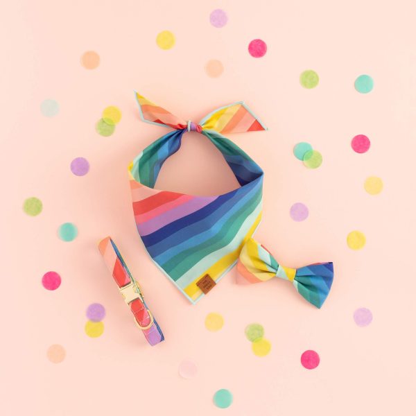 Over the Rainbow Bow Tie Collar - Image 8