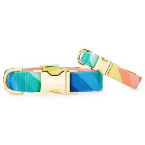 Over the Rainbow Dog Collar - Image 4