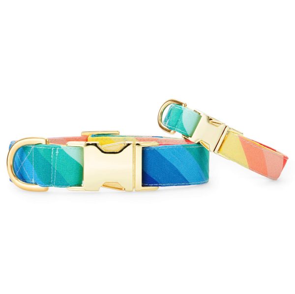 Over the Rainbow Dog Collar - Image 4