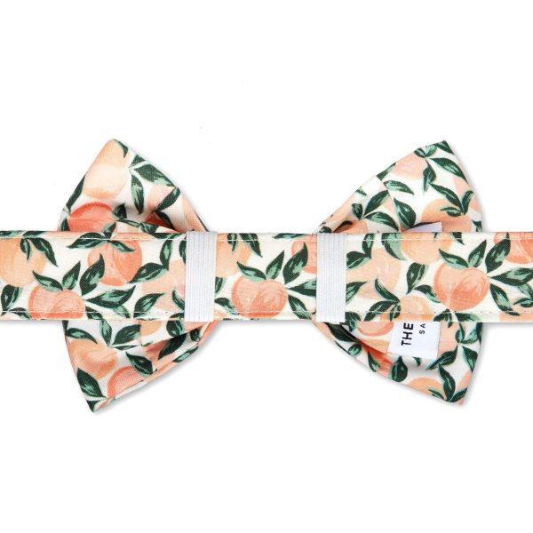 Peaches and Cream Bow Tie Collar - Image 2