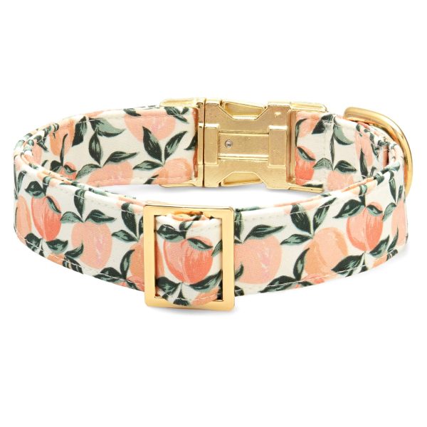 Peaches and Cream Dog Collar - Image 2