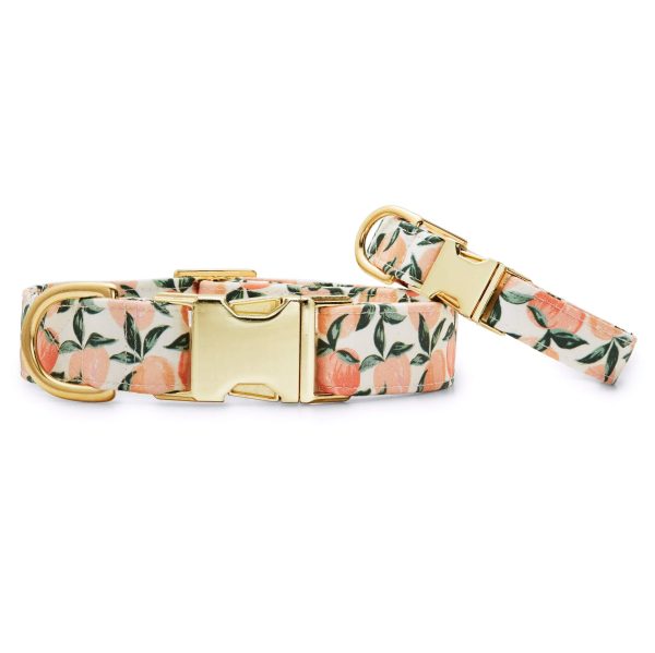 Peaches and Cream Dog Collar - Image 3