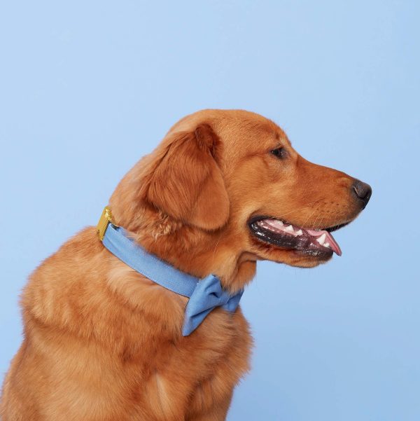 Periwinkle Bow Tie Collar - Image 8